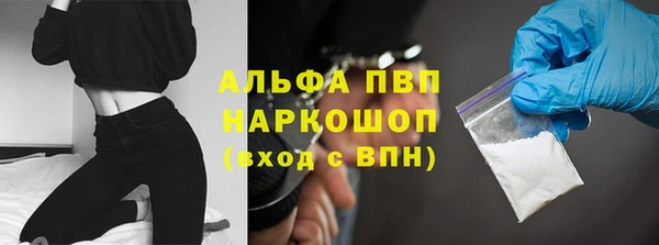 ECSTASY Ветлуга