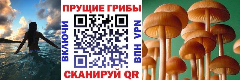 Галлюциногенные грибы прущие грибы  Кремёнки 